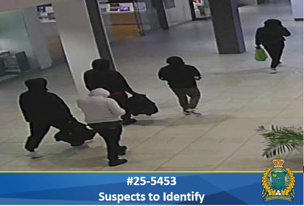 5 suspects