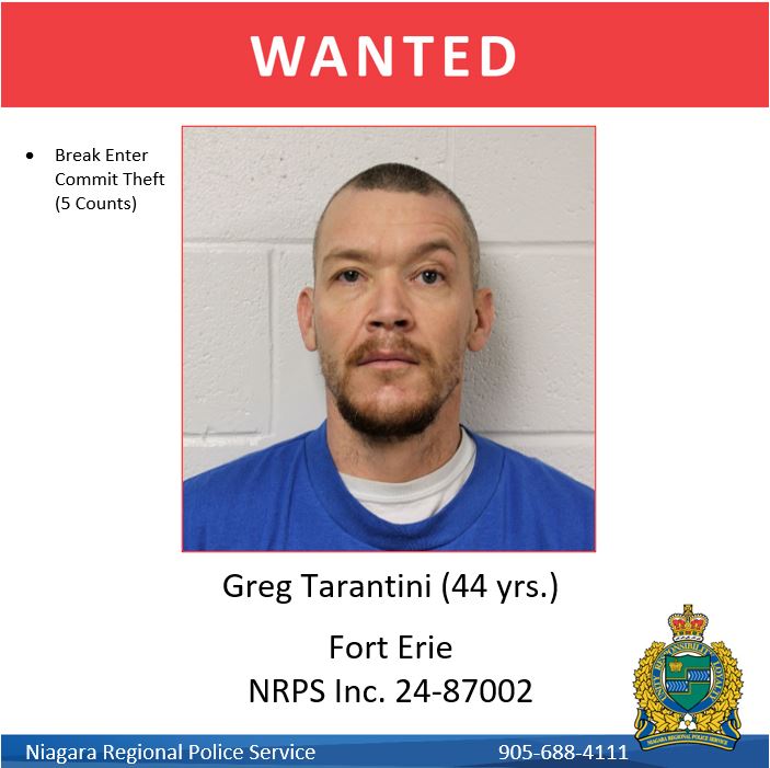 wanted image greg tarantini